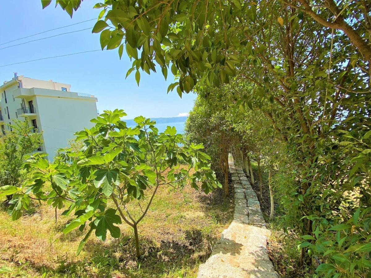 Ramo's Beachside Retreat - Cozy 2 Bedroom Casa de Férias Vlorë